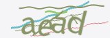 验证码，点击刷新